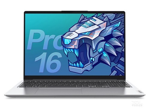 联想小新 Pro 16 2021(i5 11320H/16GB/512GB/MX450)