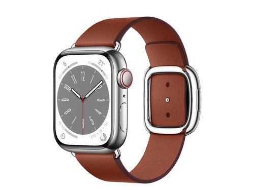 Apple（苹果）Watch Series 8银色不锈钢表壳现代风扣式表带 赭红色 中号+蜂窝网络 41mm使用技巧指南