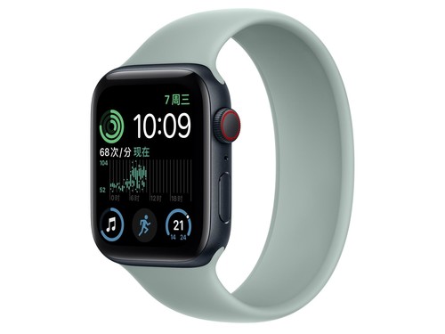 Apple（苹果）Watch Series SE银色铝金属表壳单圈表带 石莲蓝色 GPS+蜂窝网络 40mm评测文章