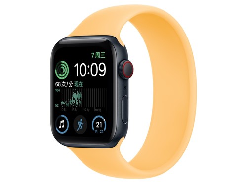 Apple（苹果）Watch Series SE午夜色铝金属表壳单圈表带 暖阳色 GPS+蜂窝网络 40mm使用技巧指南