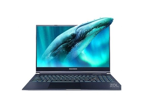 机械革命极光Pro(i7 12700H/16GB/512GB/RTX3060)