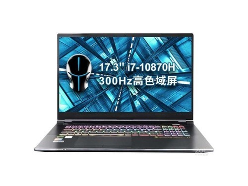 Terrans Force T7(i7 10870H/32GB/1TB/RTX3080MQ)