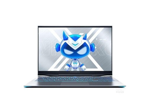 机械师F117-X(i7 10875H/16GB/512GB+1TB/RTX2070)