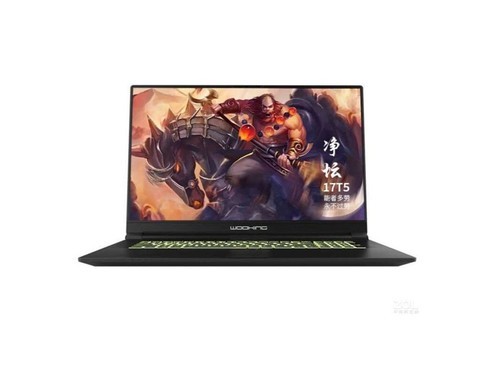 吾空17T5净坛(G5900/8GB/256GB/GTX1650)评测文章