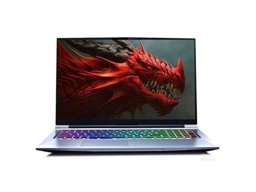 机械革命蛟龙7E(R9 4900H/16GB/512GB/RTX3060)使用技巧指南