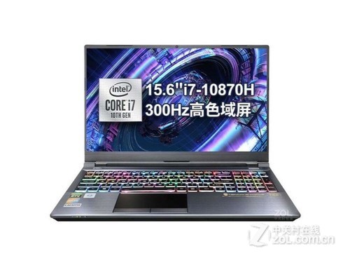 Terrans Force（未来人类） T5X 酷睿i7 10870H｜RTX 3080 Max-Q 32GB（16GB×2）｜1TB