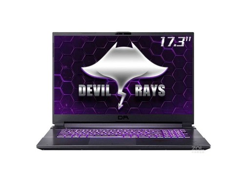 Terrans Force DR721(i5 10300H/16GB/512GB/RTX3060)