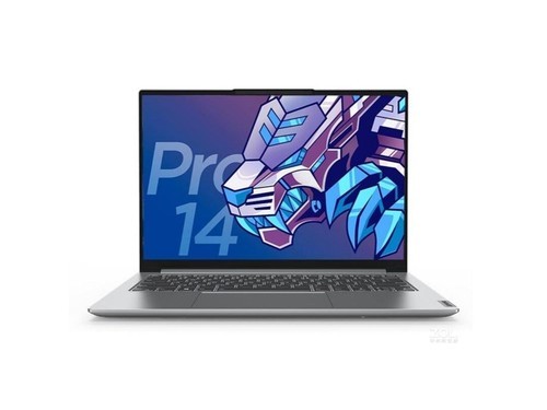 联想小新 Pro 14 2021标压版(i5 11300H/16GB/512GB/集显)