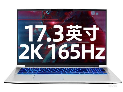 机械师战空 F117-FPlus(i7 10870H/16GB/1TB/RTX3060)