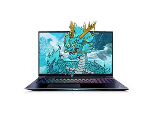 机械革命蛟龙7X(R9 5900HX/16GB/512GB/RTX3070)使用技巧指南