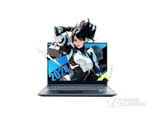 机械革命极光Pro 2024(i5 13450HX/16GB/512GB/RTX4060)