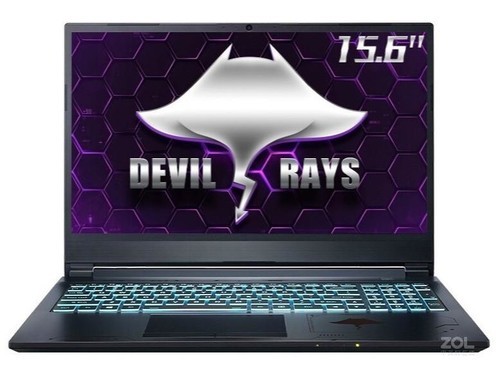 Terrans Force DR521(i7 10870H/16GB/512GB/RTX3060)