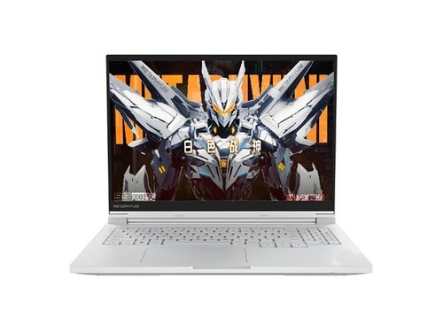 玄派玄机星 16N(i7 13620H/32GB/1TB/RTX4060)