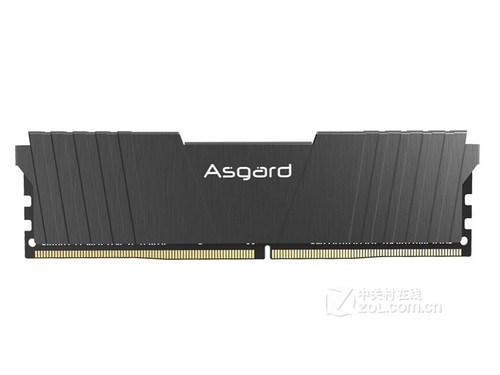 阿斯加特洛极T2 DDR4 2666 8GB