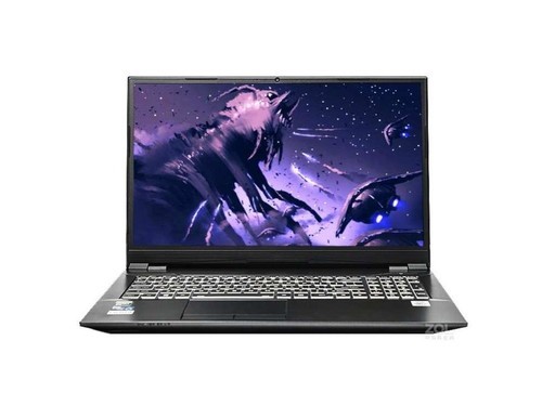 火影T7C(i5 10400/16GB/512GB/GTX1650Ti)