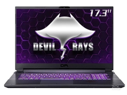 Terrans Force DR721(i7 10870H/16GB/512GB/RTX3060)