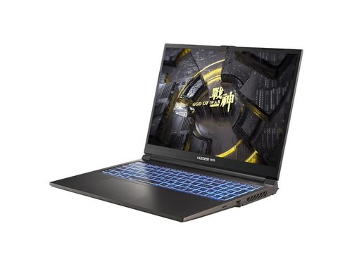 神舟战神TX8R5(i5 13500HX/16GB/1TB/RTX4060)