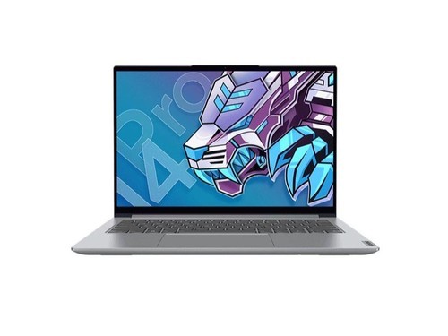 联想小新 Pro 14 2021标压版(i5 11320H/16GB/512GB/集显/Win11)使用技巧指南