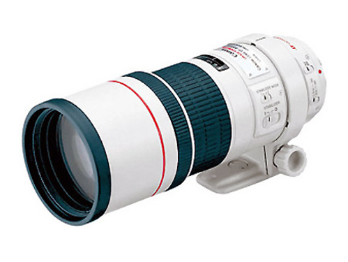 佳能EF 300mm f/4L IS USM(佳能专业L级镜头)