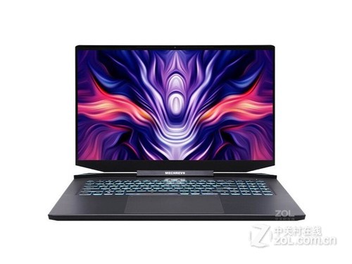 机械革命钛钽PLUS(i7 10875H/16GB/512GB/RTX3060)