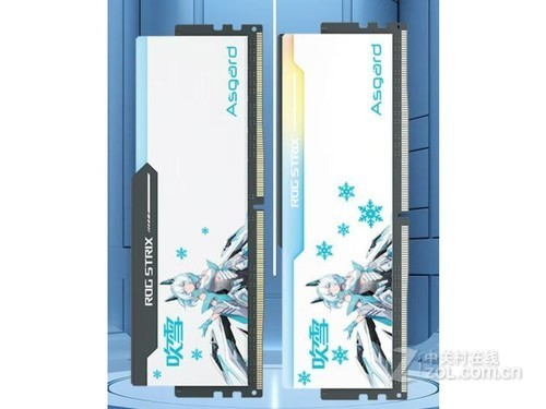 阿斯加特吹雪 DDR5 7200 48GB（2×24GB）