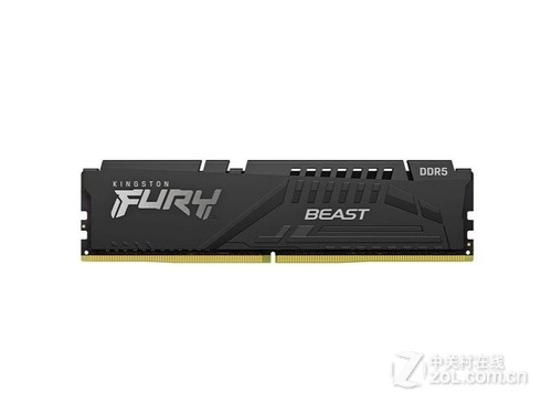 金士顿FURY Beast 16GB DDR5 4800（KF548C38BB/16）