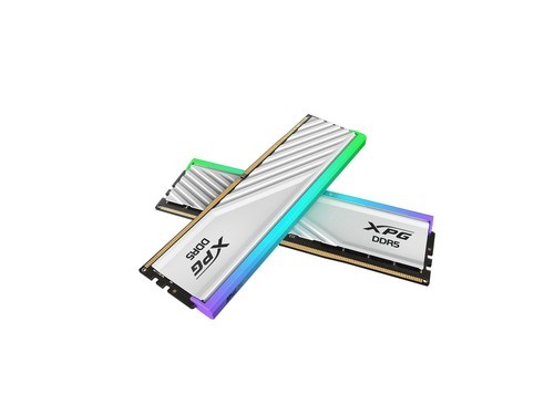 威刚XPG 龙耀 D300G DDR5 6000 64GB(32GBx2) 釉白