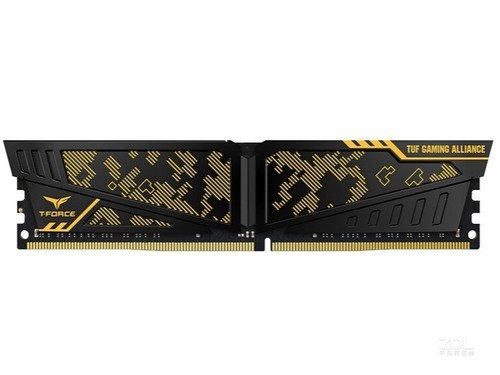 Team 迷彩 8GB DDR4 3000