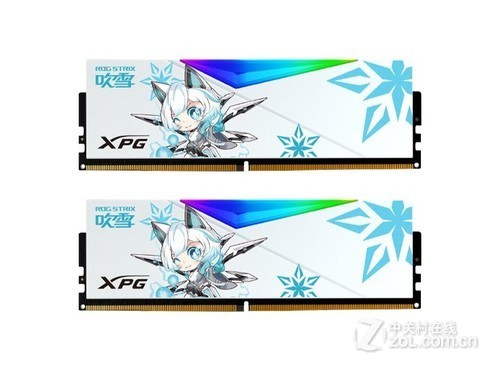 威刚XPG龙耀D500G 吹雪 32GB(16GB*2) DDR5 6800评测文章