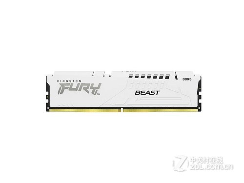 金士顿FURY Beast 32GB DDR5 6000 白色款评测文章