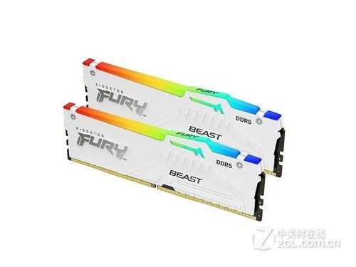 金士顿FURY Beast野兽 RGB DDR5 5200 64GB（2×32GB）白评测文章