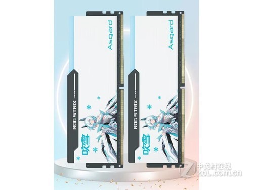 阿斯加特吹雪 32GB(16Gx2) DDR4 3600