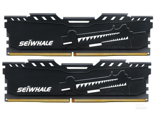 枭鲸16GB（2×8GB）DDR4 3000 电竞版使用技巧指南