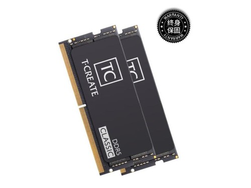 十铨科技开创者 64G(32G*2)  DDR5 5600