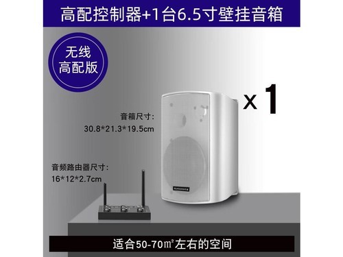 abdt LS02 高配控制器+1台白音箱使用技巧指南